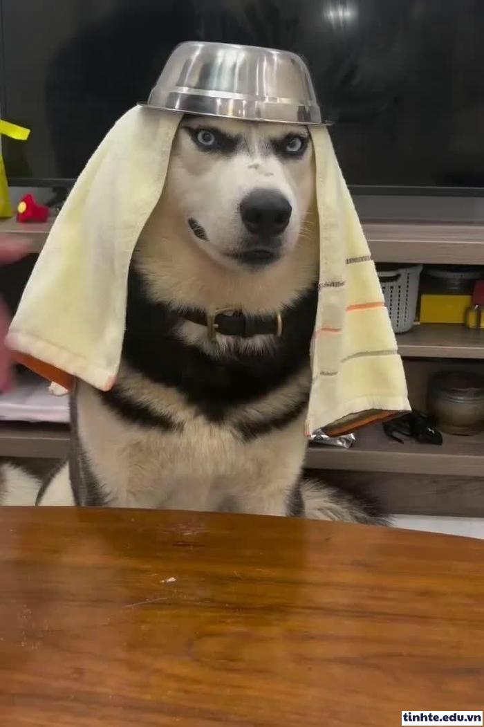 Meme khinh người cực phổ biến